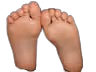  Pieds Partenaire